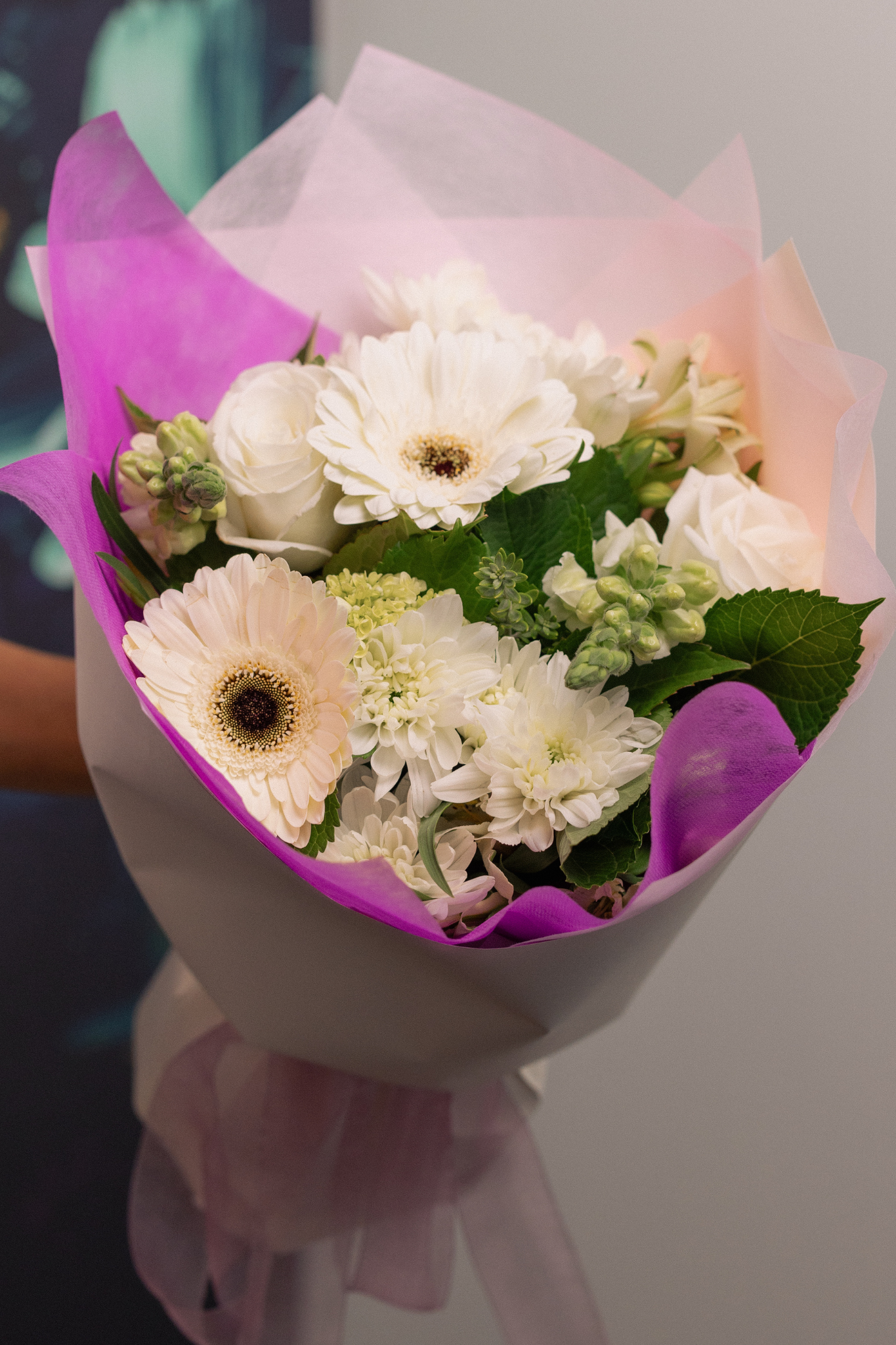 Bouquet of white flowers wrapped in pink paper with a blurred background