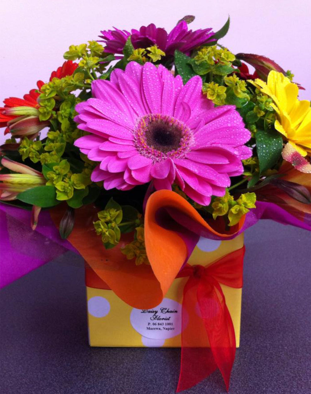 Carnival Box Arrangement Daisy Chain Florist